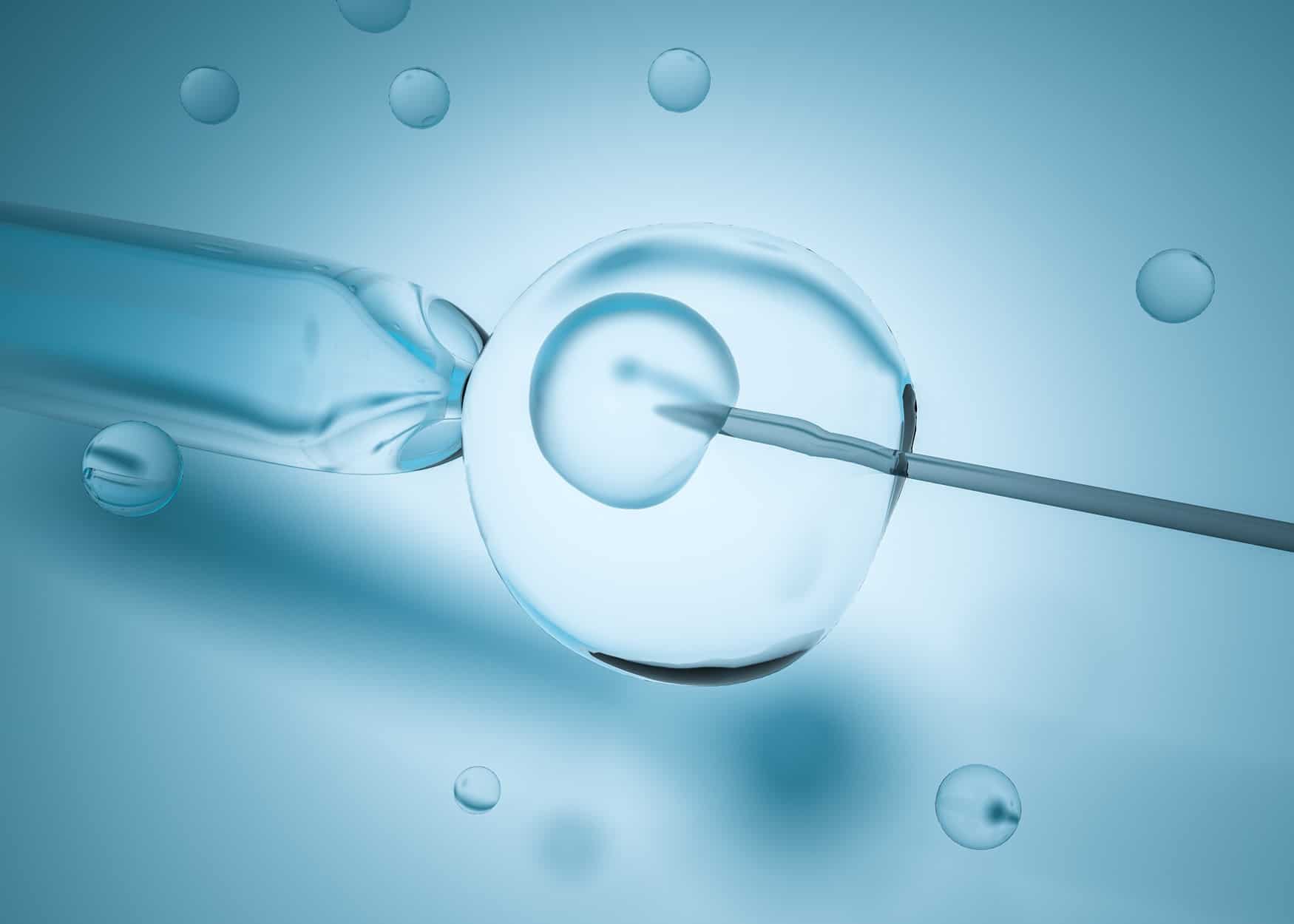 IVF and Fertility Treatments